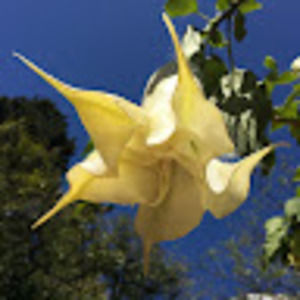 Meet your Posher, Susanne